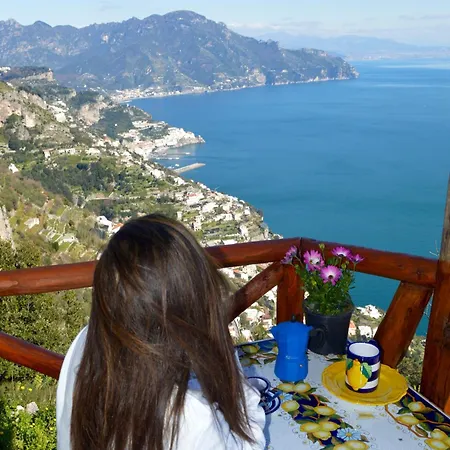 Jori Vista *